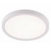 Накладной светильник Natali Kovaltseva PLAIN LED LAMPS 81113/1C