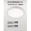 Накладной светильник Natali Kovaltseva PLAIN LED LAMPS 81113/1C