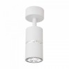 Спот Lampit ASTI TS TK40-C1 WT+CHR