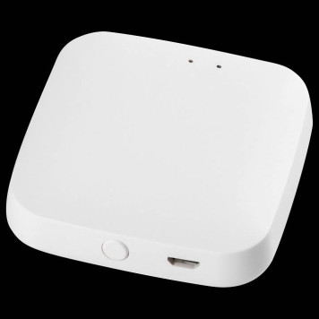 Контроллер-выключатель Wi-Fi для смартфонов и планшетов Lightstar PRO 505500R-1