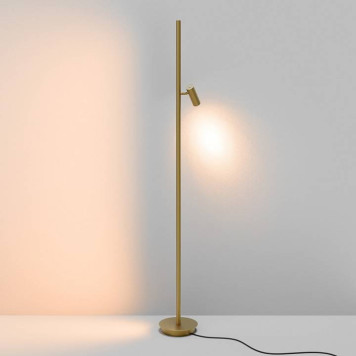 Торшер Maytoni Thin MOD395FL-L28BS3K-2