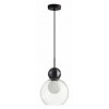 Подвесной светильник Odeon Light Blacky 5021/1