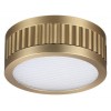 Накладной светильник Odeon Light Manchester 7013/7CL