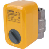 Кран с электроприводом Neptun PROFI 220В 1 (100035665500)