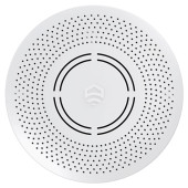 Беспроводной извещатель угарного газа CO Ectocontrol ec01068 (ec01068)