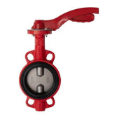Затвор дисковый поворотный РАШВОРК 201-250-16, DN250 PN16, GG25 / CF8 / EPDM, М/Ф, с рукояткой (201-250-16)
