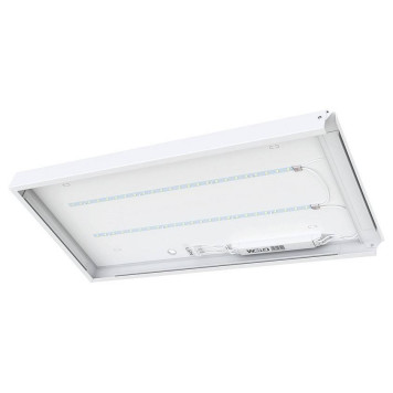 Светильник для потолка Армстронг WoltaPRO ОФИС ДВО01-18-202-4К-4