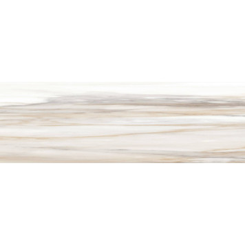 Palissandro Dark WT15POL31R Плитка настенная 246*740 (7 шт в уп/53,508 м в пал)-2