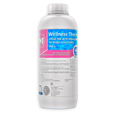 Средство Wellness Therm для повышения PH воды в бассейне (PH +) 1 л. 312705