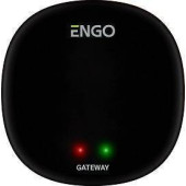 Универсальный интернет шлюз Zigbee для ENGO Smart