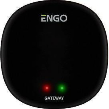 Универсальный интернет шлюз Zigbee для ENGO Smart