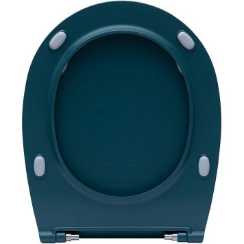 Allen Brau Fantasy Крышка-сиденье для унитаза 36x44x4h см, цвет: зеленый 4.11005.PT-4