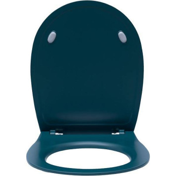 Allen Brau Fantasy Крышка-сиденье для унитаза 36x44x4h см, цвет: зеленый 4.11005.PT-5