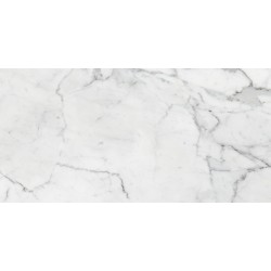 Marble Trend Керамогранит K-1000/LR/30x60 Carrara