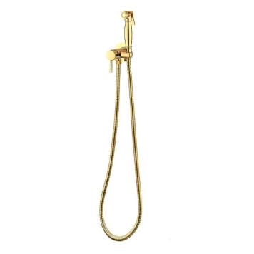 Reitano 55STF Смеситель для биде Retro (скрытый монтаж, латунная лейка), Комплект, Gold 55STFBSRGO