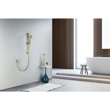 AQ2016BG ОБЕРОН душевой гарнитур 3jet 65 см, шлиф. золото AQ2016BG-4