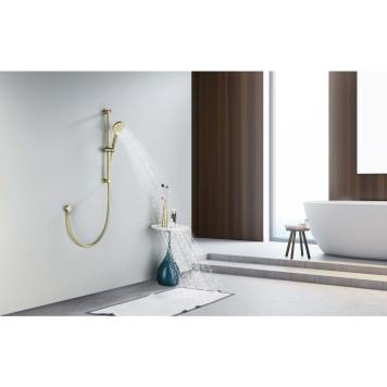 AQ2016BG ОБЕРОН душевой гарнитур 3jet 65 см, шлиф. золото AQ2016BG-6