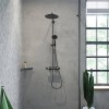 Hansgrohe AddStoris Крючок, цвет: черный матовый