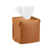 ADJ Салфетница Kleenex, 12x12xH12 см., цвет: коньяк/бордо. 0015.09/30 ADJ Салфетница Kleenex, 12x12xH12 см., цвет: коньяк/бордо. 0015.09/30