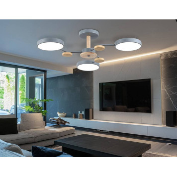 Люстра на штанге Ambrella Light FL FL4856-5