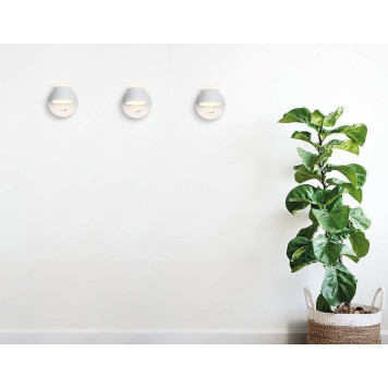 Бра Ambrella Light FW FW166-4