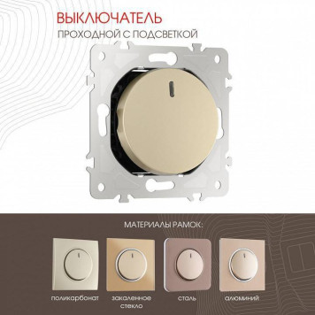 Выключатель проходной одноклавишный с подсветкой без рамки Arte Milano 202 202.33-1.shampan-1
