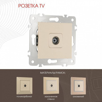 ТВ-розетка без рамки Arte Milano am-203 203.43-1.shampan-1