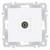 ТВ-розетка без рамки Arte Milano am-206 206.43-1.white