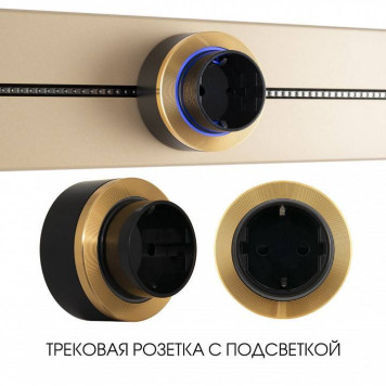 Розетка с заземлением на треке Arte Milano Am-track-sockets-39 397952TS/ES Gold-4