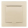 Розетка с заземлением и шторкой, с крышкой Arte Milano SET06-1 SET06-1-41-1 shampan