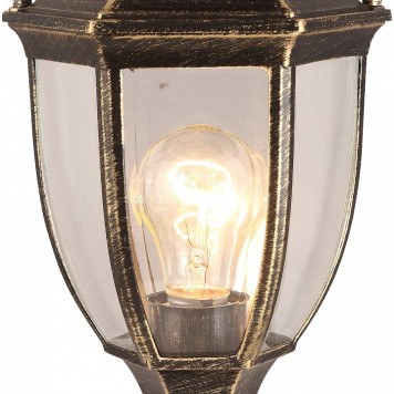 Наземный низкий светильник Arte Lamp Pegasus A3151FN-1BN-2