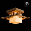 Накладной светильник Arte Lamp Woods A8252PL-1BR