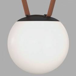 Накладной светильник Denkirs BELTY ORB DK5550-BK