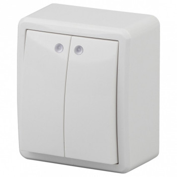 Выключатель двухклавишный с подсветкой Эра Эра Эксперт 11-1205-01