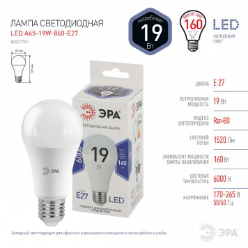 Лампа светодиодная Эра Стандарт LED A65-19W-860-E27-5