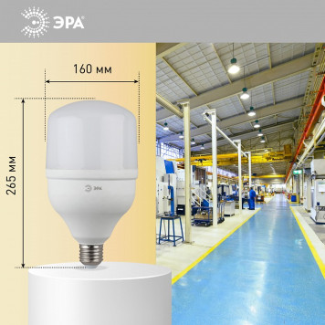 Лампа светодиодная Эра Стандарт LED POWER T160-100W-4000-E27/E40-4