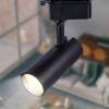 Светильник на штанге Эра TR5-10 COB BK