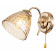 Бра Escada Freesia 658/1A Gold