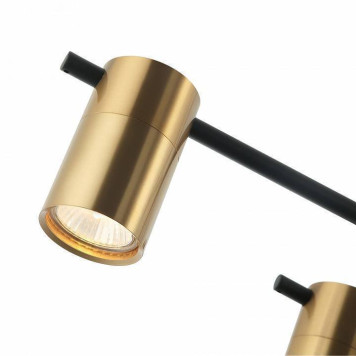 Потолочная люстра Favourite Topper 2827-8P-2