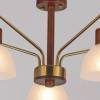 Люстра на штанге ILLUMICO IL0286-5C-79 BR