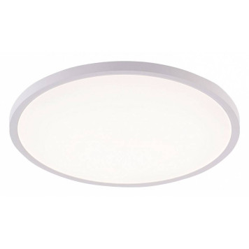 Накладной светильник Natali Kovaltseva PLAIN LED LAMPS 81113/4C