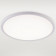 Накладной светильник Natali Kovaltseva PLAIN LED LAMPS 81113/4C