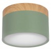 Накладной светильник Loft it Grape 10162 Green