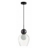 Подвесной светильник Odeon Light Blacky 2 5023/1