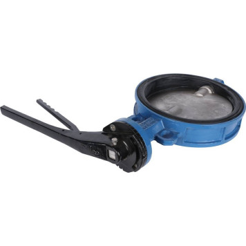 Затвор диск чугун Tecofi VPI4449-02EP0250 для системы Ду250 и Ру16 из нержавеющей стали.-2