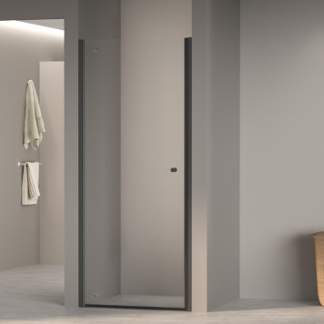 Душевая дверь Dolphin TN-03B 900