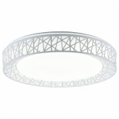 Накладной светильник TopLight Diana TL1204X-72WH