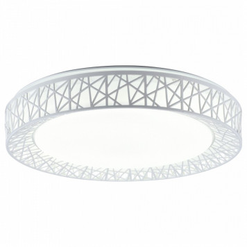 Накладной светильник TopLight Diana TL1204X-72WH