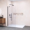 Душевая перегородка RGW WA-102B 700