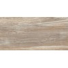 Detroit Wood WT9DET08 Плитка настенная 249*500*8,5 (10 шт в уп/67.23 м в пал)